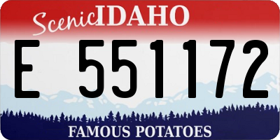 ID license plate E551172