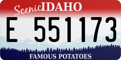 ID license plate E551173