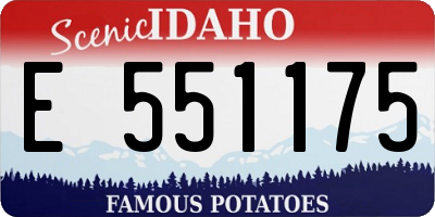 ID license plate E551175
