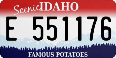ID license plate E551176