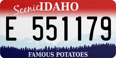 ID license plate E551179