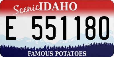 ID license plate E551180