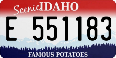 ID license plate E551183