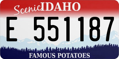 ID license plate E551187