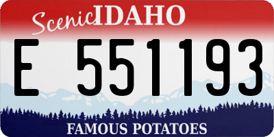 ID license plate E551193