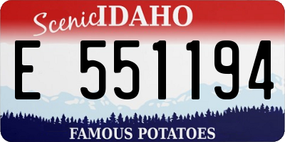 ID license plate E551194