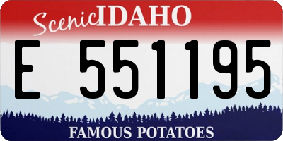 ID license plate E551195
