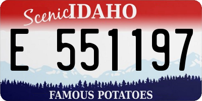 ID license plate E551197
