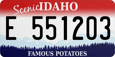 ID license plate E551203