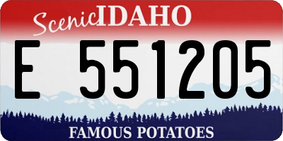 ID license plate E551205