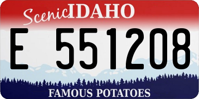 ID license plate E551208
