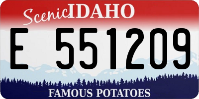 ID license plate E551209