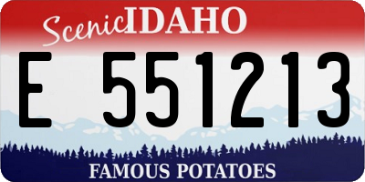 ID license plate E551213