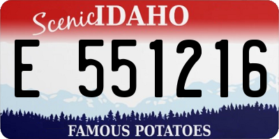 ID license plate E551216