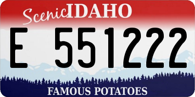 ID license plate E551222