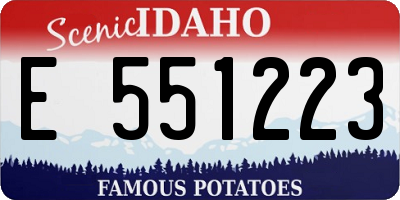 ID license plate E551223