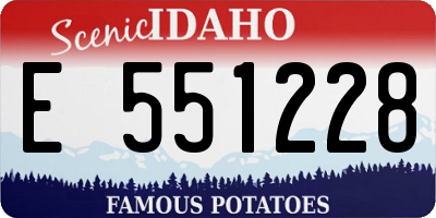 ID license plate E551228