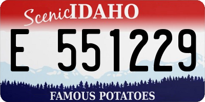 ID license plate E551229