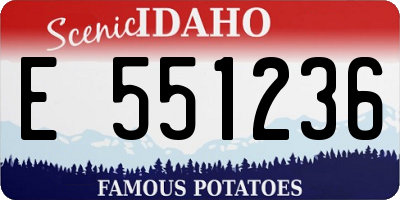 ID license plate E551236