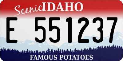 ID license plate E551237