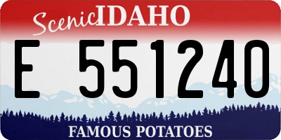 ID license plate E551240