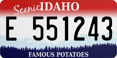 ID license plate E551243