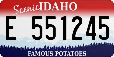 ID license plate E551245