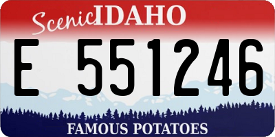 ID license plate E551246