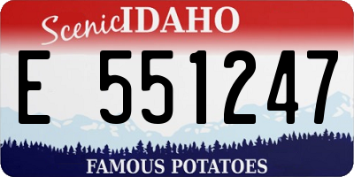 ID license plate E551247
