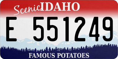 ID license plate E551249