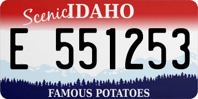ID license plate E551253