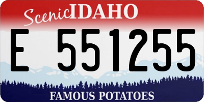 ID license plate E551255
