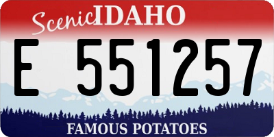 ID license plate E551257