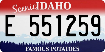 ID license plate E551259