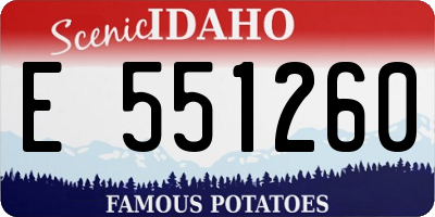 ID license plate E551260