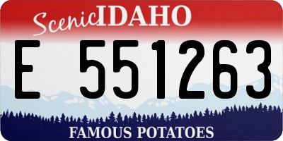 ID license plate E551263