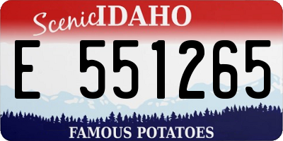 ID license plate E551265