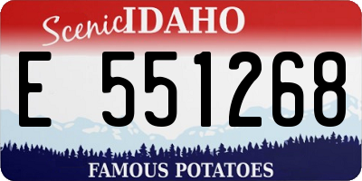 ID license plate E551268