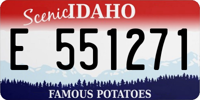 ID license plate E551271