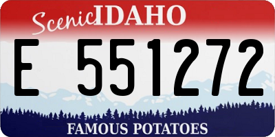 ID license plate E551272