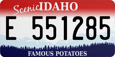 ID license plate E551285