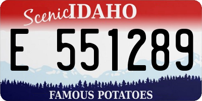 ID license plate E551289