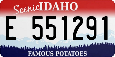 ID license plate E551291