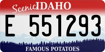 ID license plate E551293