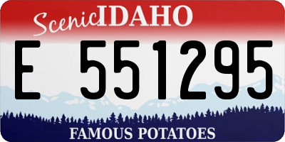 ID license plate E551295