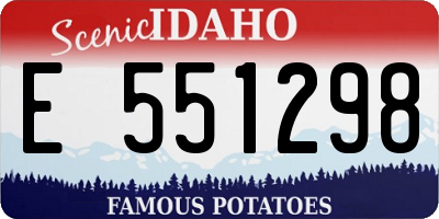 ID license plate E551298