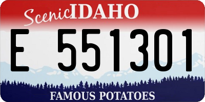 ID license plate E551301