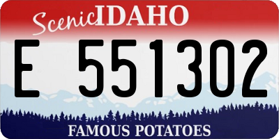 ID license plate E551302