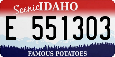 ID license plate E551303