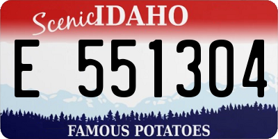 ID license plate E551304